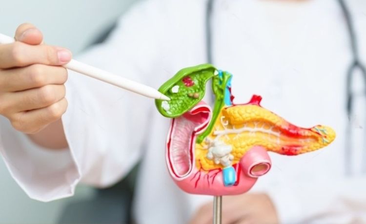 Pancreatic Surgery Specialist Doctor Rajasthan, Pancreatic Surgery Specialist Doctor Rajasthan, Best Pancreatic Surgery Doctor in Rajasthan, Best Pancreatic Surgeon Doctor in Rajasthan, Best Pancreatic Surgery Specialist Doctor Jaipur Rajasthan,  Best Pancreatic Surgery Doctor in Jaipur Rajasthan, Best Pancreas Specialist Doctors in Rajasthan, Best Doctors for Pancreatic Surgery in Rajasthan, Best Pancreatitis Treatment In Rajasthan, Pancreatic Cancer Surgery in Rajasthan, Rajasthan, RJ, Rajasthan India, Jaipur Rajasthan, www.gastrosurgeongujarat.com/best-pancreatic-surgery-doctor-in-rajasthan.php, Dr. Dhaivat Vaishnav